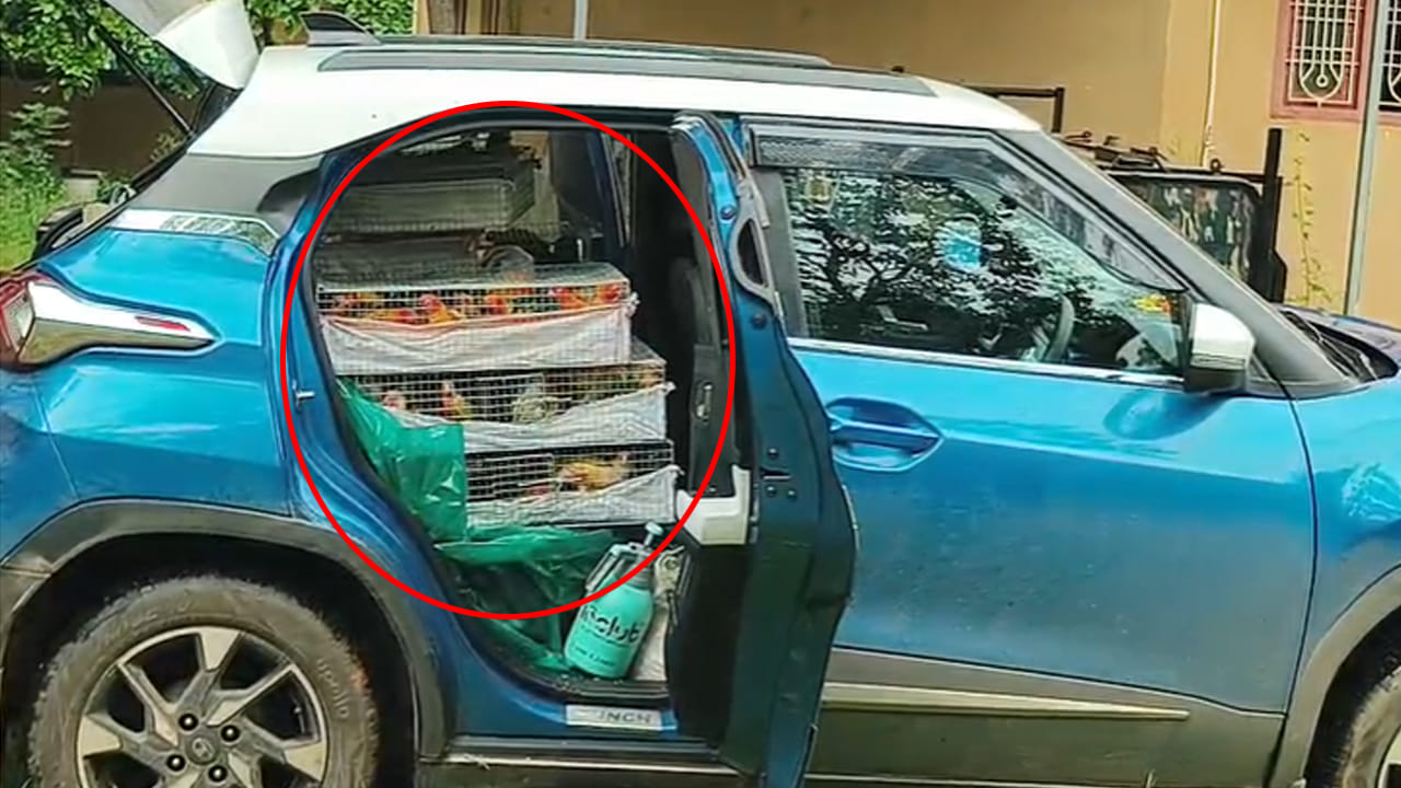 Andhra: ఓ హోటల్ ముందు ఆపిన కారు నుంచి పిట్టల అరుపులు.. ఏంటా అని వెళ్లి చూడగా..