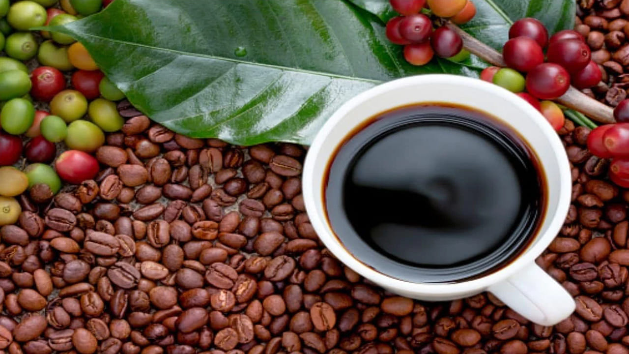 ఇటీవలి ఒక అధ్యయనం ప్రకారం రెగ్యూలర్గా తీసుకునే బ్లాక్ కాఫీ మీ ఆయుష్షును పెంచుతుందని చెప్పింది. చక్కెర, పాలు లేకుండా బ్లాక్ కాఫీ తాగడం వల్ల మరణ ప్రమాదాన్ని తగ్గించవచ్చని జర్నల్ ఆఫ్ న్యూట్రిషన్లో ప్రచురించబడిన ఒక అధ్యయనంలో వెల్లడించారు.