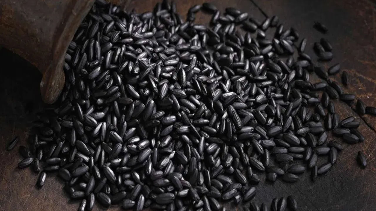 బ్లాక్ రైస్: చాలా మంది వైట్ రైస్ తింటారు. కానీ మీరు ఎప్పుడైనా బ్లాక్ రైస్ గురించి విన్నారా.. వీటిలో పీచు, ప్రొటీన్తో పాటు, యాంటీ ఆక్సిడెంట్లు పుష్కలంగా లభిస్తాయి. బ్లాక్ రైస్ ఒత్తిడిని తగ్గిస్తుంది. బ్లాక్ రైస్ను ఆహారంలో భాగం చేసుకోవడం చాలా మంచిది.