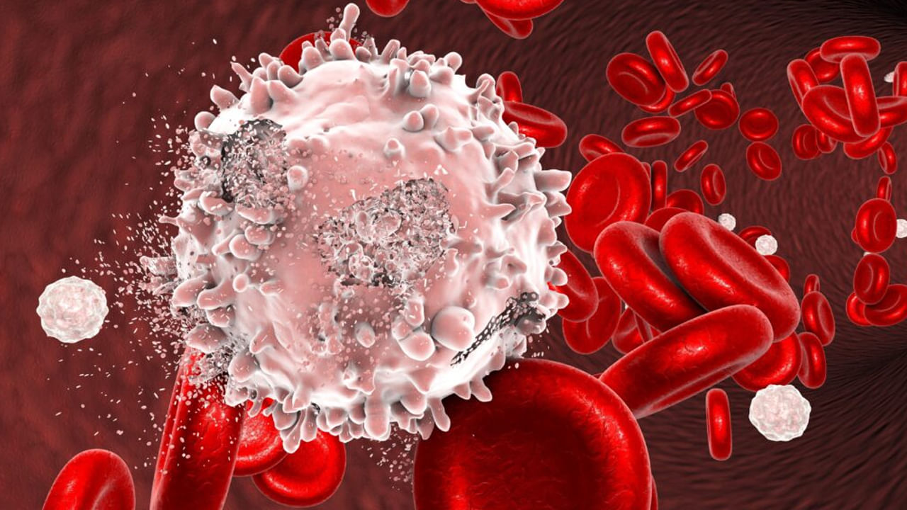 Blood Cancer1