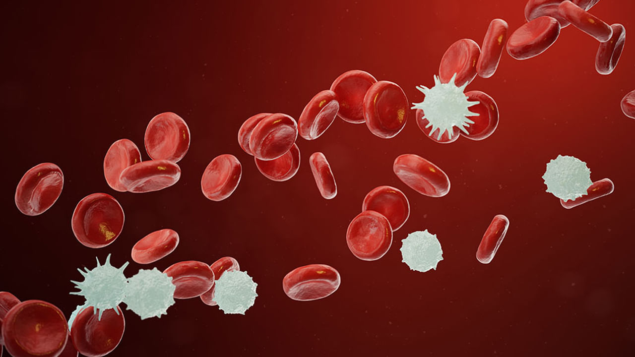 Blood Cancer2