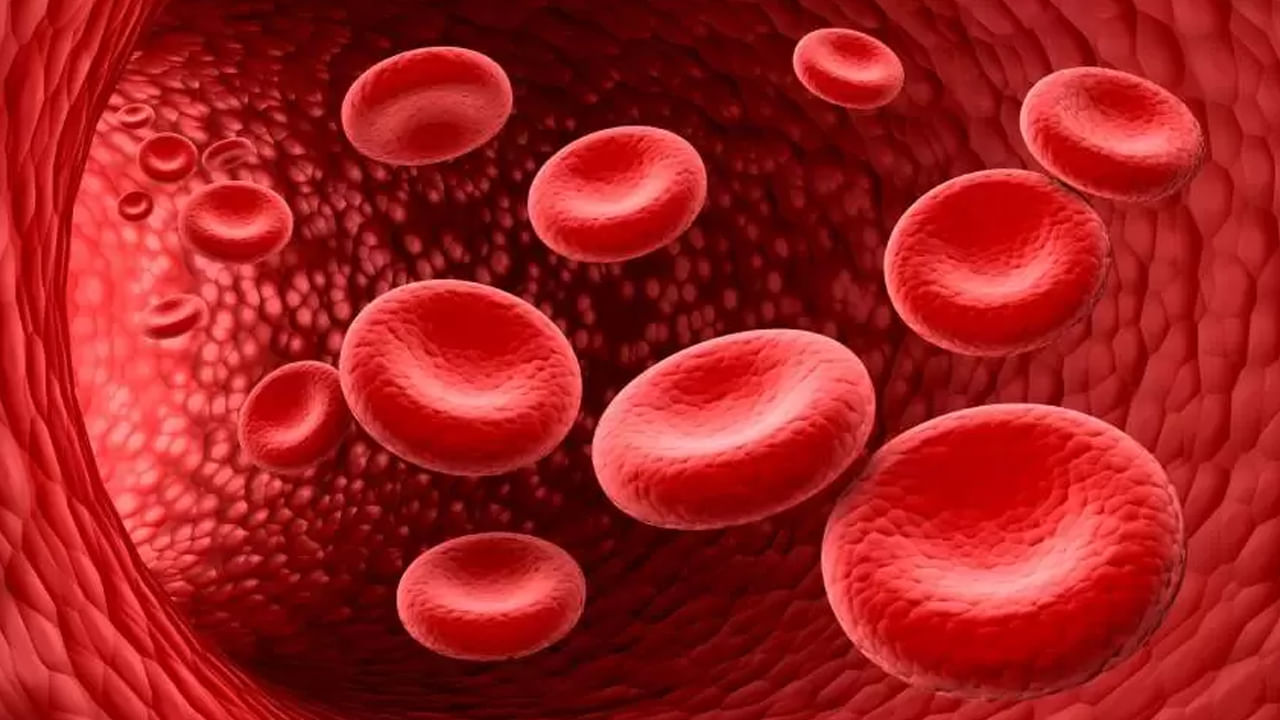 Blood Cancer3