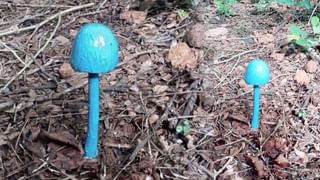 Non Veg Food: వామ్మో.. మనదేశంలో నాన్ వెజ్ ఎక్కువగా తినే రాష్ట్రం ఏదో తెలిస్తే షాక్ అవుతారు..