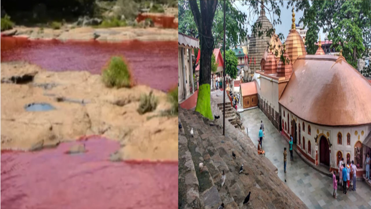 భారతదేశంలో గంగ నది, యమున, కావేరి, కృష్ణ, గోదావరి, నర్మదా ఇలా అన్ని నదులకు స్త్రీ పేర్లు ఉన్నాయి. అయితే  కానీ ఒక నదిని పురుష నది అని పిలుస్తారు. ఈ నది పేరు బ్రహ్మపుత్ర నది. ఇది భారతదేశంలోనే కాదు ఆసియాలో కూడా పొడవైన నదులలో ఒకటి.