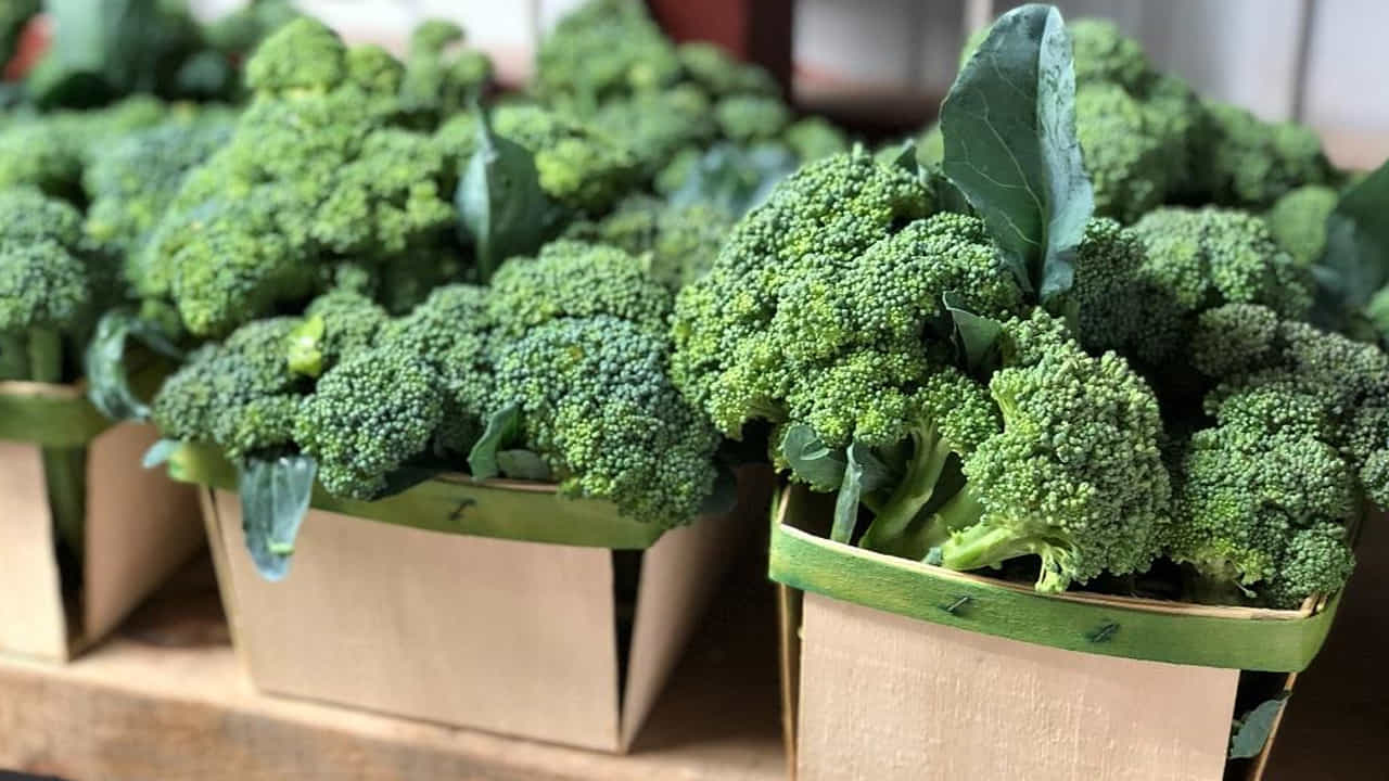 Broccoli