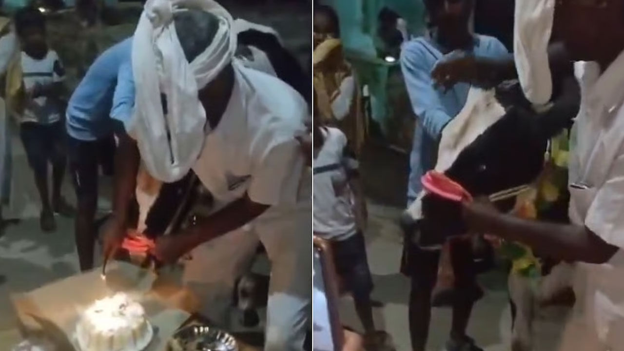 Viral Video: ఆవుదూడకు ఫస్ట్ బర్త్డే సెలబ్రేషన్స్… హృదయానికి హత్తుకునే వీడియో వైరల్ Viral Video: ఆవుదూడకు ఫస్ట్ బర్త్డే సెలబ్రేషన్స్… హృదయానికి హత్తుకునే వీడియో వైరల్