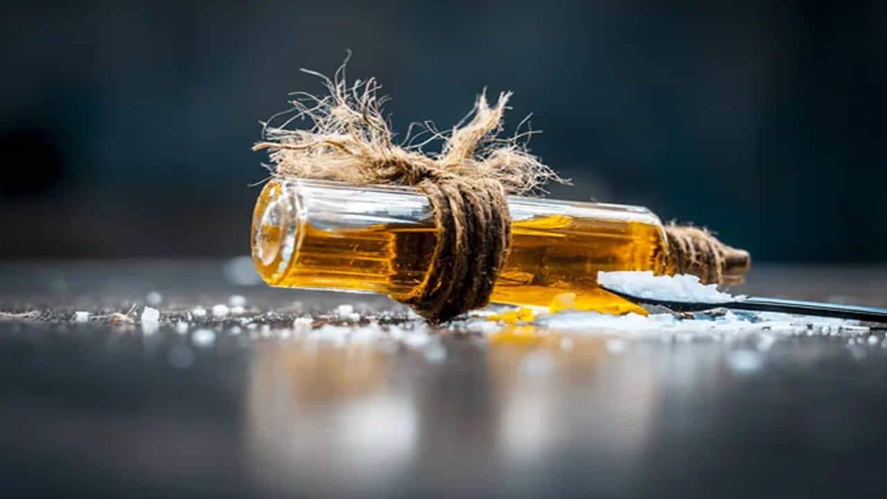 కర్పూరాన్ని పెయింటింగ్, బాణసంచా, సహజ పరిమళ ద్రవ్యాలు, సబ్బుల తయారీలో ఎక్కువగా ఉపయోగిస్తారు. కర్పూరం దాని వాసనతో పాటు మండే స్వభావాన్ని కలిగి ఉంటుంది. కర్పూరాన్ని కీటక వికర్షకాలలో, దుర్వాసనలను తొలగించడానికి ఉపయోగిస్తారు.