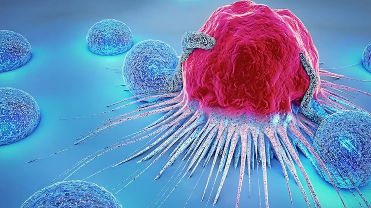 Cancer Symptoms: లైట్ తీసుకుంటారు కానీ.. అవన్నీ క్యాన్సర్ లక్షణాలేనట.. బీ అలర్ట్.. Cancer Symptoms: లైట్ తీసుకుంటారు కానీ.. అవన్నీ క్యాన్సర్ లక్షణాలేనట.. బీ అలర్ట్..