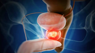 గోవాలో ఈ బీచ్‌లు ప్రశాంతతకు కేర్ ఆఫ్.. పక్కాగా చూడాల్సిందే..