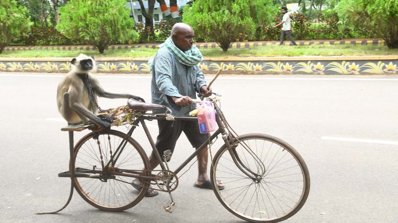 ఆ విశ్వవిద్యాలయం విధుల్లో కొత్త సెక్యూరిటీ గార్డు.. ఎవరో తెలిస్తే ఆశ్చర్యపోవాల్సిందే.. !