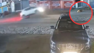 Viral Video: ఒక్క సెకన్‌…ఒకే ఒక్క సెకన్‌లో విషాదం.. రోడ్డుపై వెళ్తున్న తండ్రి కుమార్తెపై పడ్డ చెట్టు