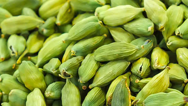 చిన్నగా ఉన్నాయని చిన్నచూపు చూడొద్దు.. ఆ సమస్యకు బ్రహ్మాస్త్రం.. దెబ్బకు మటాష్..