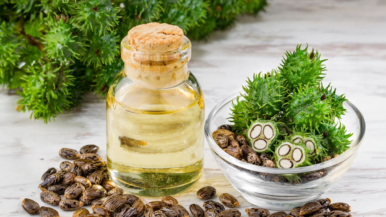Caster Oil