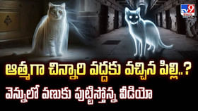 ఆత్మగా చిన్నారి వద్దకు పిల్లి..? వణుకు పుట్టిస్తోన్న వీడియో ఆత్మగా చిన్నారి వద్దకు పిల్లి..? వణుకు పుట్టిస్తోన్న వీడియో