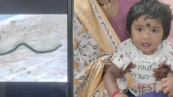 ఆటబొమ్మ అనుకొని పామును నోట్లో పెట్టుకొని నమిలిన చిన్నారి.. తర్వాత ఏం జరిగిందంటే!