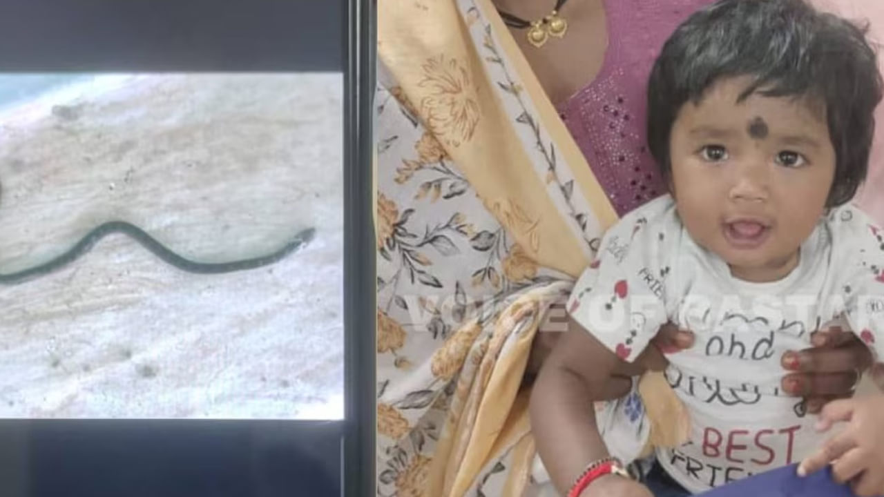 ఆటబొమ్మ అనుకొని పామును నోట్లో పెట్టుకొని నమిలిన చిన్నారి.. తర్వాత ఏం జరిగిందంటే!