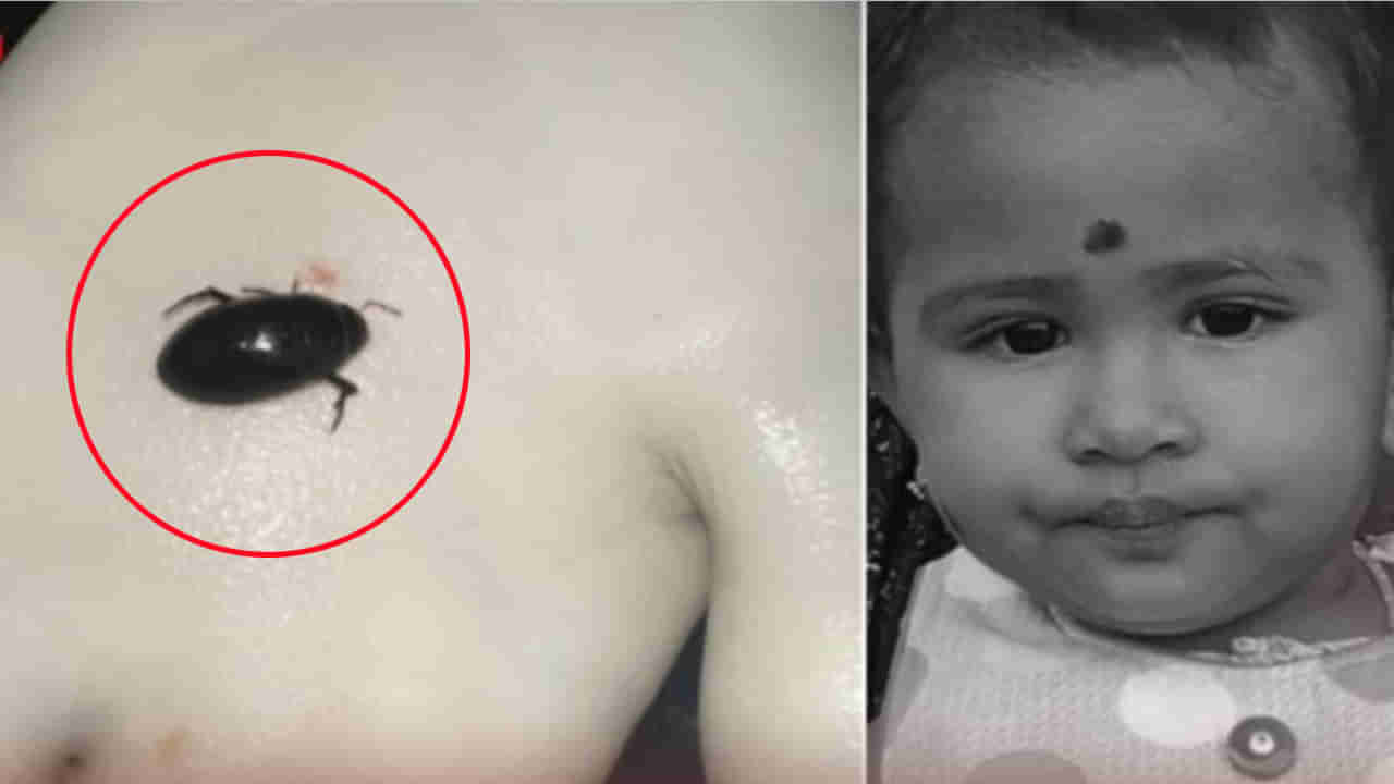 అయ్యో.. ఇంట్లో నేలపై వెళ్తున్న పురుగుని పట్టి నోట్లో వేసుకున్న ఏడాది చిన్నారి.. ఆ తర్వాత!