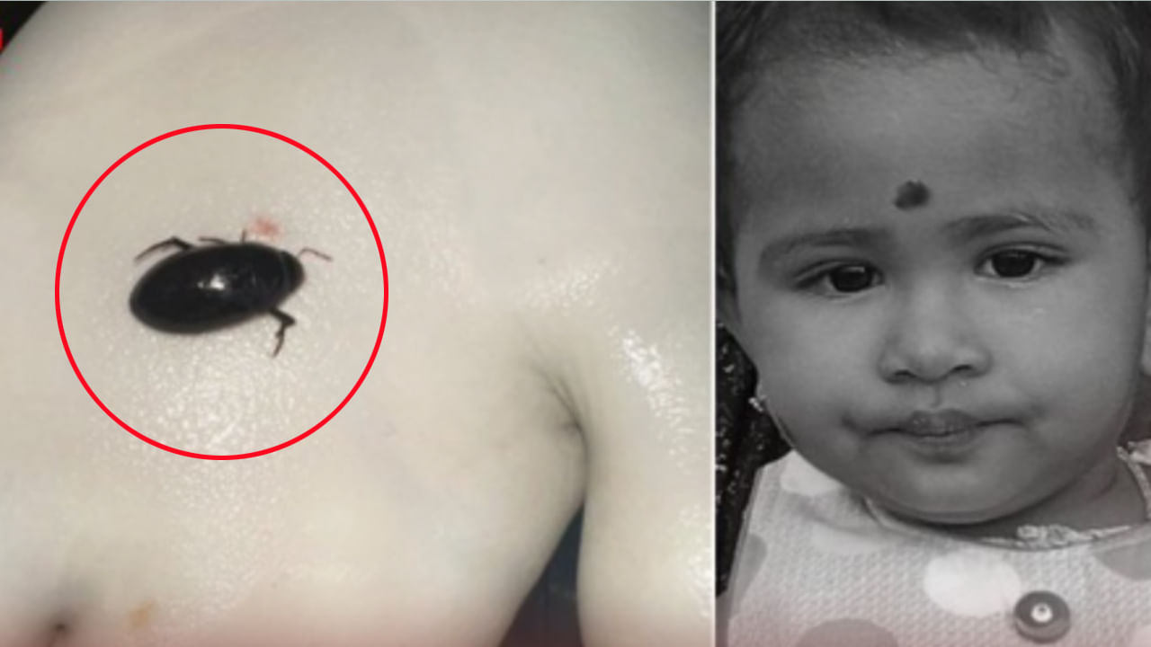 అయ్యో.. ఇంట్లో నేలపై వెళ్తున్న పురుగుని పట్టి నోట్లో వేసుకున్న ఏడాది చిన్నారి.. ఆ తర్వాత!