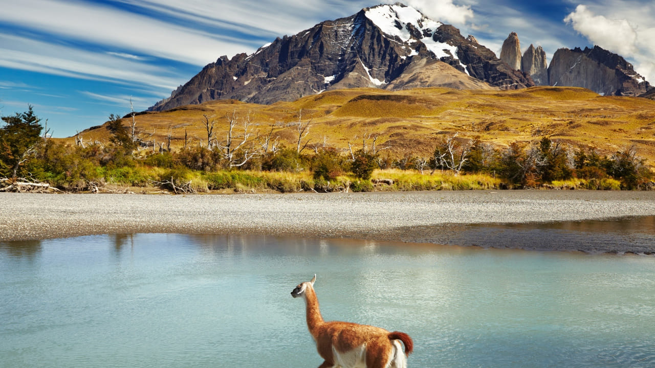 1960లో చిలీలోని వాల్డివియాలో 9.5 తీవ్రతతో సంభవించిన భూకంపం 5,700 మంది మృతి చెందింది. మళ్లీ 2010లో చిలీలో 8.8 తీవ్రతతో సంభవించిన భూకంపంలో 28,000 మంది మరణించారు. దీని తర్వాత చిలీలో మరోసారి భూకంపం రాలేదు. 