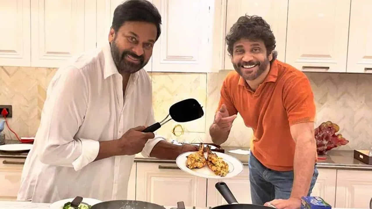 చిరంజీవి కూడా చాలా మంది హీరోలతో మల్టీ స్టార్ సినిమాల్లో నటించి, బ్లాక్ బస్టర్ హిట్స్ అందుకున్నాడు. కానీ ఇప్పటి వరకు నాగార్జున చిరంజీవి కాంబినేషన్లో ఒక్క సినిమా కూడా రాలేదు. దీంతో చిరు, నాగ్ అభిమానులు నిరాశ వ్యక్తం చేస్తున్నారు. అయితే వీరిద్దరి కాంబోలో కూడా రెండు సినిమాలు రావాల్సి ఉండేనంట.