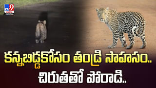 ఏటీఎంలో మనీ కాదండోయ్ బుసలు కొట్టే నాగుపాము.. వీడియో చూస్తే వణకాల్సిందే !