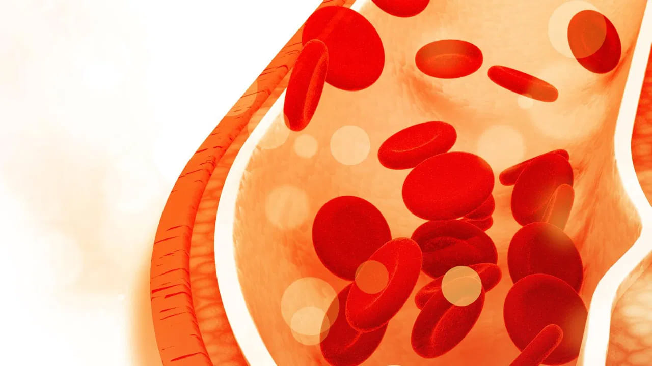 అలాగే ఊబకాయం, మధుమేహం ఉన్న వారు తరచుగా పరీక్షలు చేసుకోవడం ఉత్తమం అని చెబుతున్నారు వైద్య నిపుణులు. అంతా కాకుండా మీ కుటుంబంలో అధిక కొలెస్ట్రాల్ ఉన్నట్లైతే ఫ్యామిలీ హైపర్ కొలెస్టెరోలేమియా వంటిది నిర్ధారణ అయితే జీవనశైలి మార్పు చేసుకోవడమే కాకుండా, ప్రతి రోజూ వ్యాయమం చేయం, మందులు వాడటం, మంచి ఆహారం తీసుకోవడం చేయాలంట.