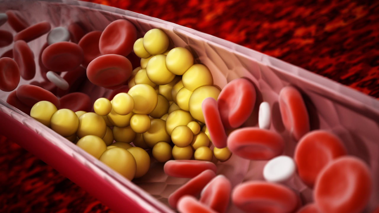 మీకు కొలెస్ట్రాల్ సమస్యలు ఉంటే అల్పాహారంలో ఎక్కువ ఓట్స్ తినడంపై దృష్టి పెట్టాలి. ఓట్స్ తినడం వల్ల కొలెస్ట్రాల్ తగ్గుతుంది. కొవ్వు చేపలు కొలెస్ట్రాల్‌ను తగ్గించడంలో కూడా సహాయపడతాయి. వీటిని భోజనంలో చేర్చుకావాలి.