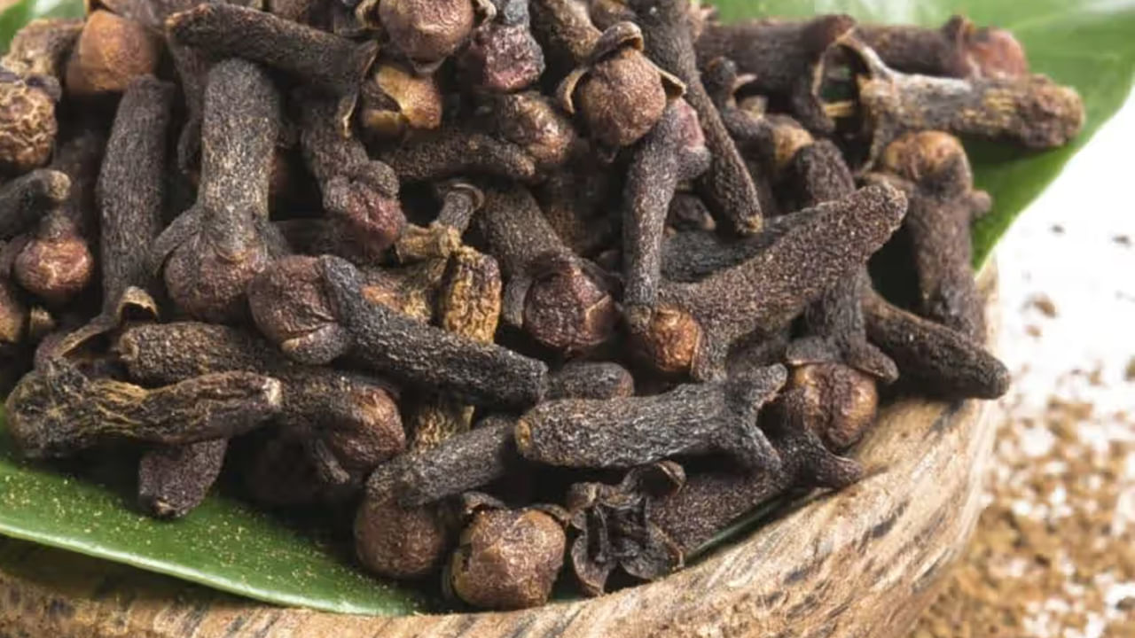 Cloves Bowl