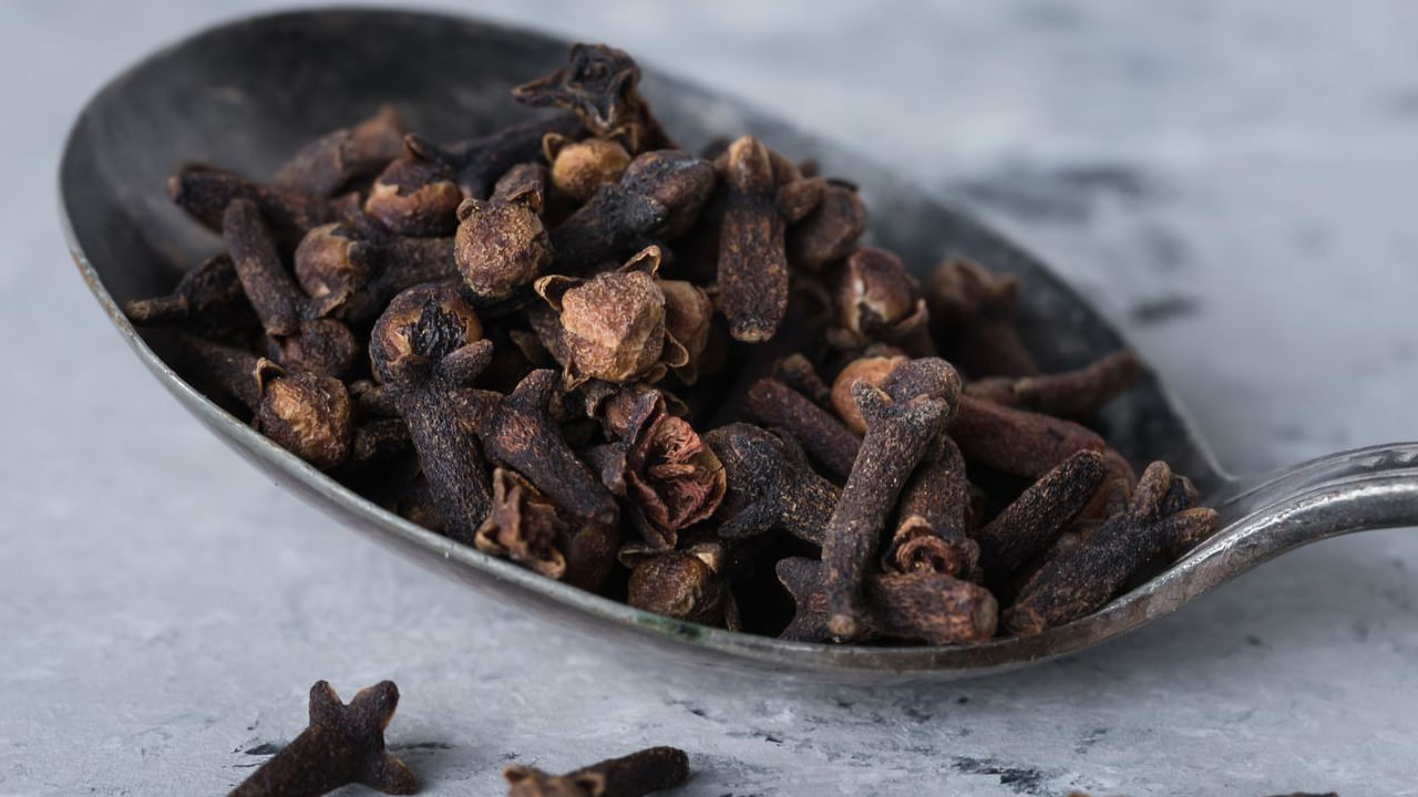 Cloves Spoon