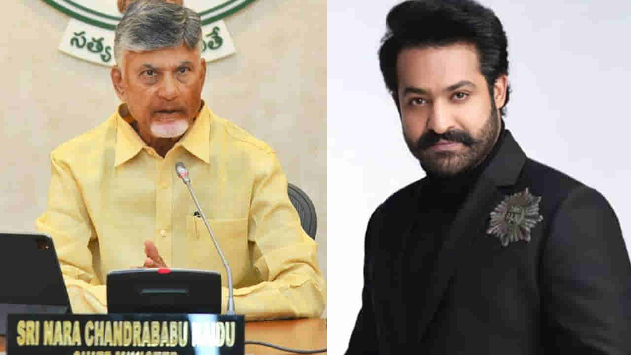 Andhra: జూనియర్ ఎన్టీఆర్పై టీడీపీ ఎమ్మెల్యే దగ్గుపాటి వ్యాఖ్యలు.. సీఎం చంద్రబాబు మాస్ వార్నింగ్