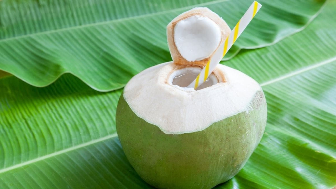 Coconut Water