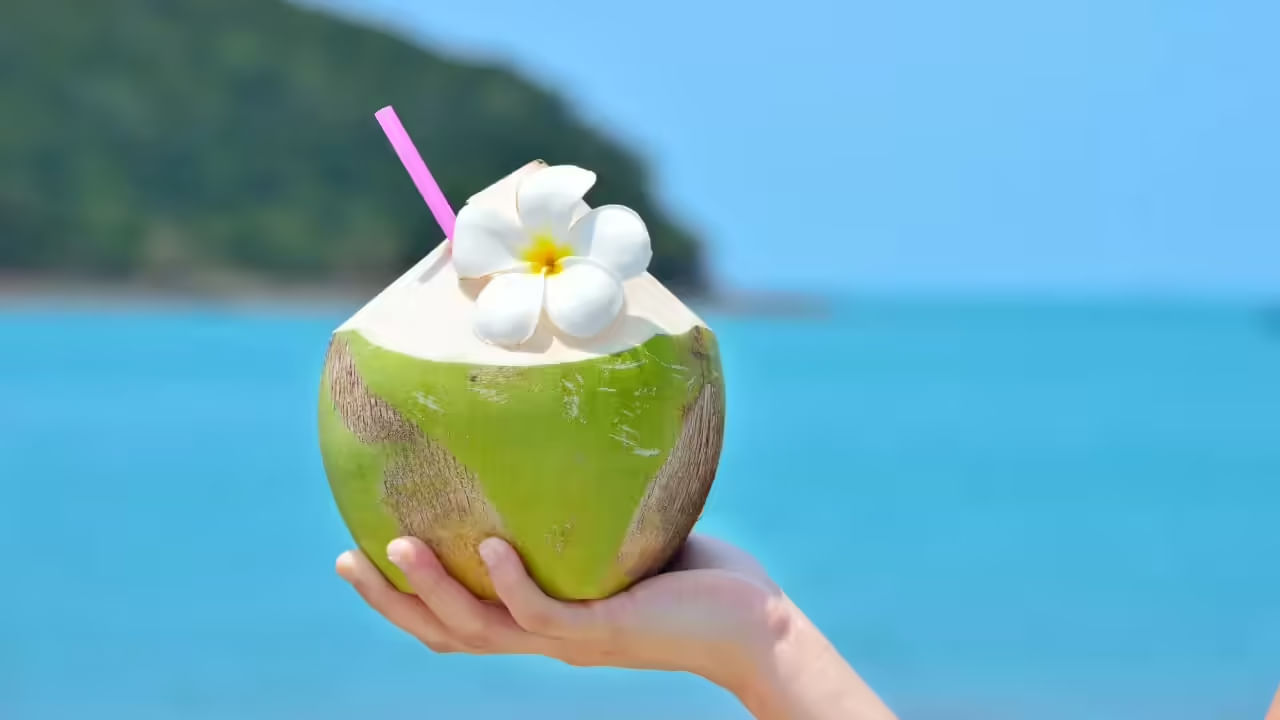 Coconut Water