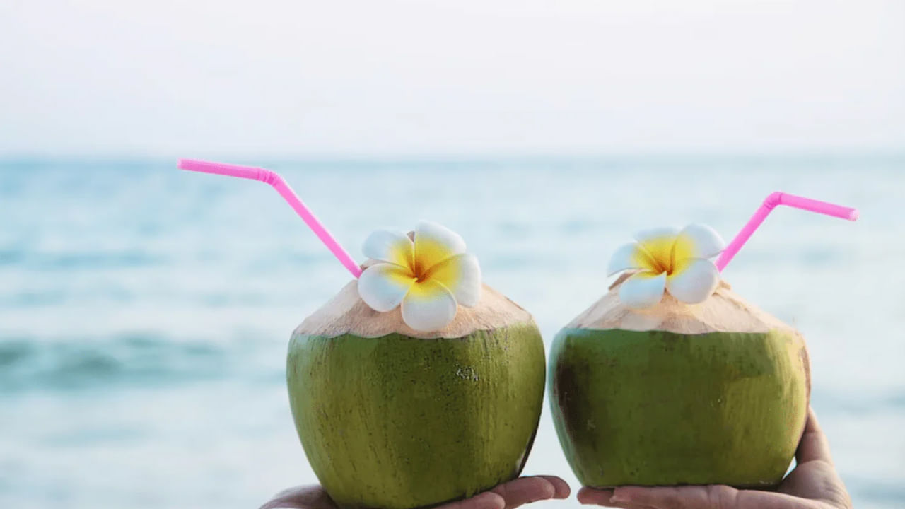 Coconut Water: రోజూ కొబ్బరి నీళ్లు తాగుతున్నారా..? ముందు ఈ విషయాలు తెలుసుకోండి.. Coconut Water: రోజూ కొబ్బరి నీళ్లు తాగుతున్నారా..? ముందు ఈ విషయాలు తెలుసుకోండి..