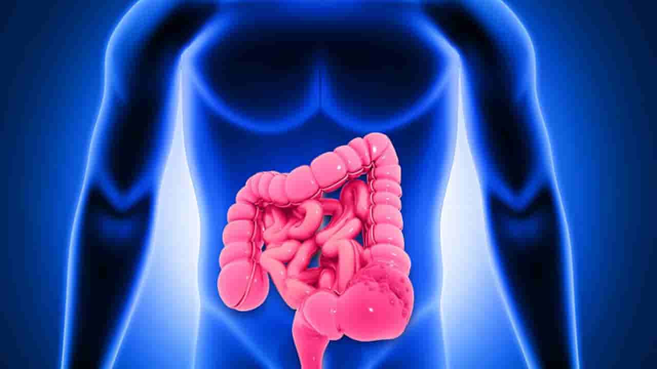 హెల్తీ సీక్రెట్.. క్యాన్సర్ రాకుండా ఉండాలంటే ఈ ఫుడ్స్ తినాల్సిందే..!