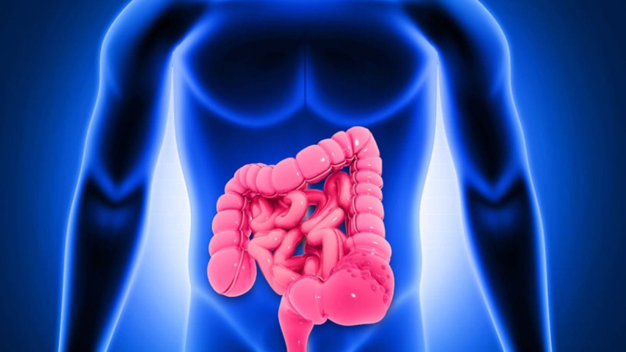 హెల్తీ సీక్రెట్.. క్యాన్సర్ రాకుండా ఉండాలంటే ఈ ఫుడ్స్ తినాల్సిందే..!