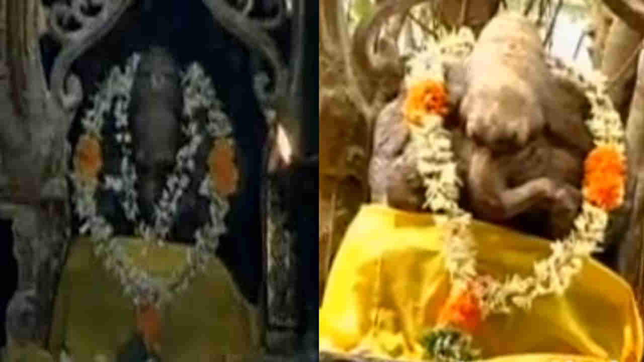 Vinayaka Chavithi 2025: ఆ ఆలయంలో అన్నీ అద్భుతాలే.. ఆరు నెలలకు ఒకసారి రంగు మార్చుకునే గణేశుడు, బావి నీరు..