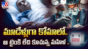 మూడేళ్లుగా కోమాలో.. ఆ సమయంలో ఒక్కసారిగా లేచిన మహిళ వీడియో మూడేళ్లుగా కోమాలో.. ఆ సమయంలో ఒక్కసారిగా లేచిన మహిళ వీడియో