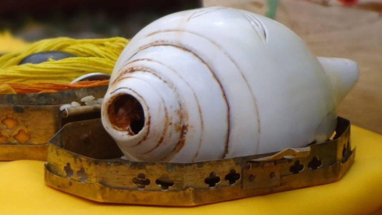 మేషం, సింహ, ధనుస్సు (అగ్ని రాశి): ఈ రాశుల వారికి దక్షిణవర్తి శంఖం (దక్షిణ దిశగా నోరు తెరుచుకుంటుంది) ఉత్తమమైనదిగా పరిగణించబడుతుంది. ఈ శంఖం ధైర్యం, ఆత్మవిశ్వాసం, సామర్థ్యాన్ని పెంచుతుంది.
