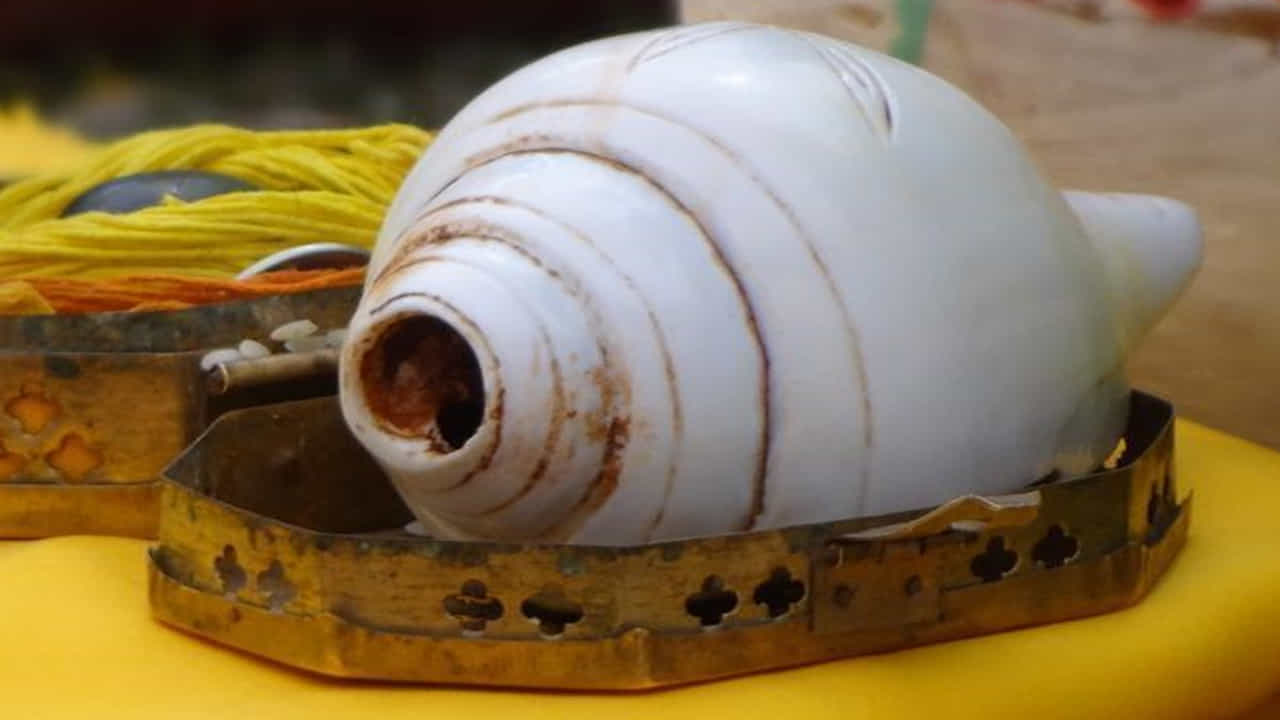 మేషం, సింహ, ధనుస్సు (అగ్ని రాశి): ఈ రాశుల వారికి దక్షిణవర్తి శంఖం (దక్షిణ దిశగా నోరు తెరుచుకుంటుంది) ఉత్తమమైనదిగా పరిగణించబడుతుంది. ఈ శంఖం ధైర్యం, ఆత్మవిశ్వాసం, సామర్థ్యాన్ని పెంచుతుంది.