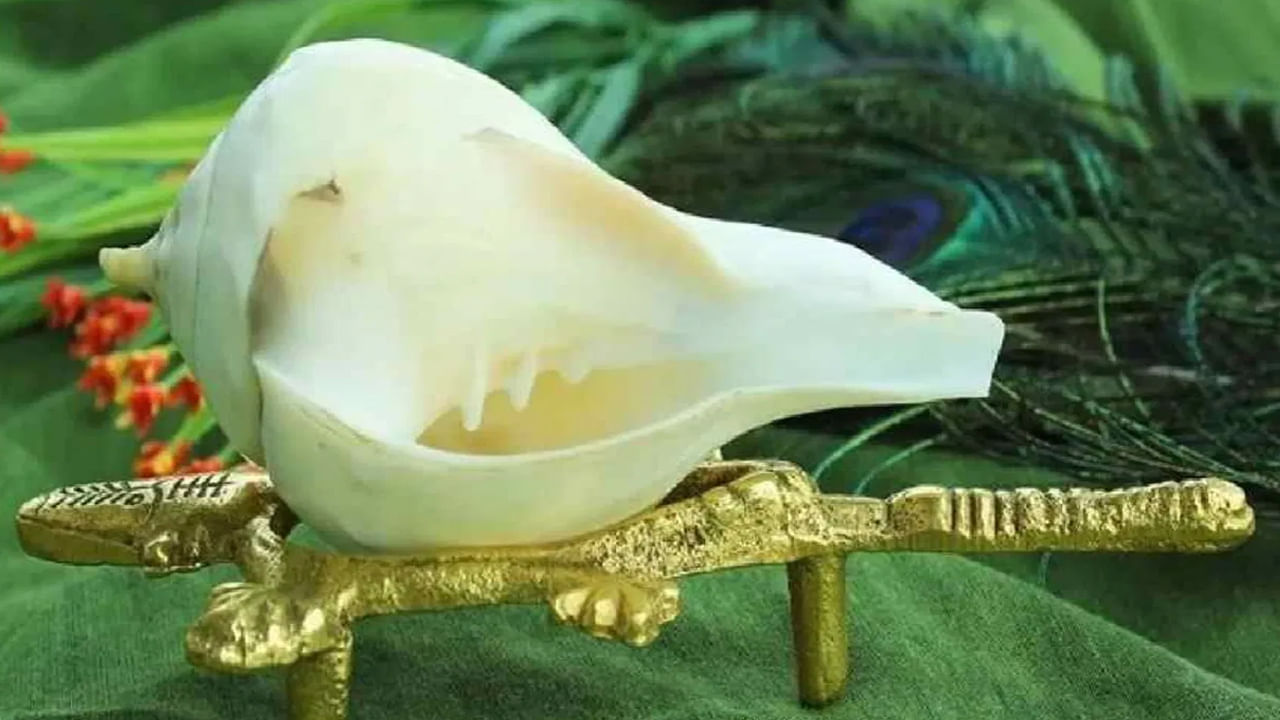 వృషభం, కన్య, మకరం (భూమి మూలక రాశులు): ఈ రాశికి చెందిన వ్యక్తులు ఇంట్లో వామవర్తి శంఖం (సాధారణ శంఖం లాగా ఎడమ వైపున తెరుచుకుంటుంది) పెట్టుకోవడం శుభప్రదం. ఇది ఇంట్లో స్థిరత్వాన్ని తెస్తుంది. అంతేకాదు ఇంట్లో సిరి సంపదలకు లోతులేకుండా చేస్తుంది. 