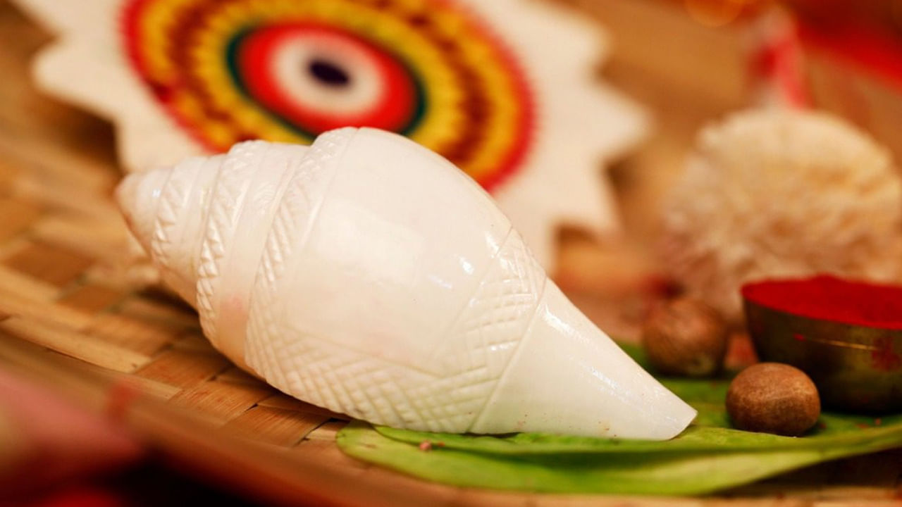 హిందూ మతంలో శంఖానికి ప్రత్యేక మతపరమైన, ఆధ్యాత్మిక ప్రాముఖ్యత ఉంది. దీనిని లక్ష్మీదేవి, విష్ణువుకు చిహ్నంగా భావిస్తారు. శంఖం నుంచి వచ్చే శబ్దం ప్రతికూల శక్తిని తొలగిస్తుంది. అంతేకాదు ఇంట్లో శంఖం ఉనికి అదృష్టం, శ్రేయస్సు, శాంతికి చిహ్నంగా పరిగణించబడుతుంది. అయితే జ్యోతిష్య, వస్తు శాస్త్రం సహా పురాణ గ్రంథాల ప్రకారం ఒకే రకమైన శంఖం ఇంట్లో పెట్టుకోవడం అందరికీ తగినది కాదు. ప్రతి రాశికి ఒక నిర్దిష్ట శంఖం శుభప్రదంగా వర్ణించబడింది. శంఖాలలో వివిధ రకాలున్నాయి. 