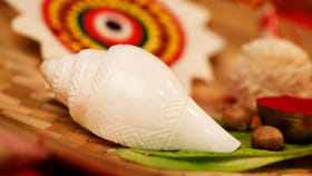 లక్ష్మీదేవికి చిహ్నం శంఖం.. ఏ రాశి ప్రకారం ఏ శంఖాన్ని పూజించాలంటే