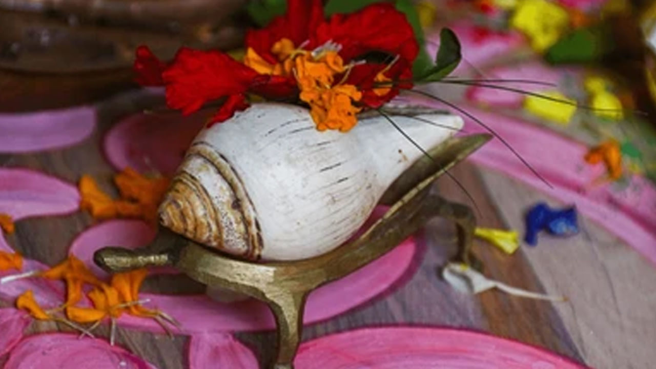 Astro Tips for Shell: ఆనందం, శాంతి, శ్రేయస్సు, సానుకూల శక్తికి చిహ్నం శంఖం.. ఈ రాశి ప్రకారం ఏ శంఖాన్ని ఇంట్లో పెట్టుకోవాలంటే
