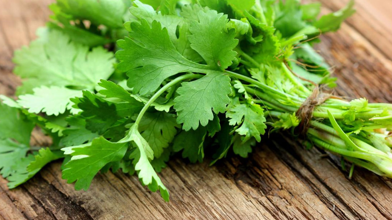 కొత్తిమీర-దనియాలు: గ్యాస్ట్రిక్ సమస్య ఉన్నవారు కొత్తిమీర, దనియాలు తినడం మంచిది. వీటిని నేరుగా తిన్నా.. లేదా నీటిలో వేసుకొని మరిగించి తాగినా ఛాతీలో మంట తక్షణమే తగ్గుతుంది. మీరు జీలకర్ర కూడా తినవచ్చు. ఇది గ్యాస్ట్రిక్‌ సమస్యను వెంటనే అరికడుతుంది.