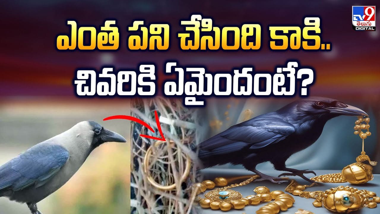 ఎంత పని చేసింది కాకి.. చివరికి ఏమైందంటే ఎంత పని చేసింది కాకి.. చివరికి ఏమైందంటే