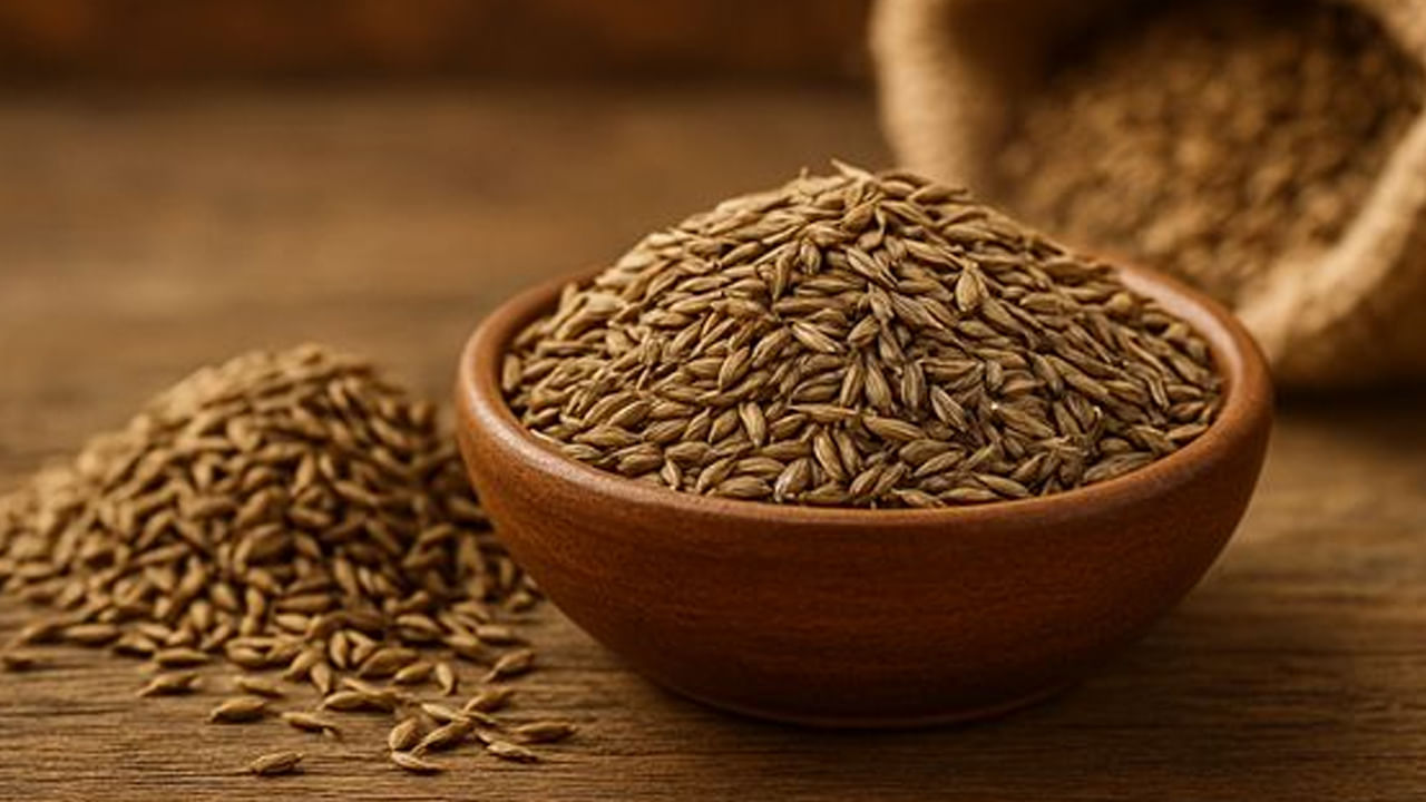 జీలకర్ర నీటితో శ్వాసకోశ వ్యవస్థ ఆరోగ్యం మెరుగుపడుతుంది. జీలకర్ర నీటిలోని యాంటీ కంజెస్టివ్ లక్షణాలు ఛాతిలో పేరుకుపోయిన మ్యూకస్ కరిగింపజేస్తుంది. జీలకర్ర నీటిని తాగడం వల్ల శ్వాసకోశ సమస్యలు తగ్గుతాయి. ఇందులో పొటాషియం అధికంగా ఉంటుంది. మన శరీర పనితీరుకు ఇది ఉపయోగపడుతుంది. ఇది హైబీపీని తగ్గిస్తుంది. ఉప్పు వల్ల కలిగే దుష్ప్రభావాల నుంచి రక్షిస్తుంది.