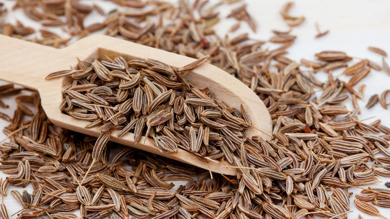 అంతేకాదు..గర్భిణీలకు కూడా జీలకర్ర నీరు చాలా ఉపయోగకరంగా ఉంటుంది. గర్భిణీలలో జీర్ణక్రియ మెరుగు పడుతుంది. కార్బొహైడ్రేట్లను జీర్ణం చేసేందుకు అవసరం అయ్యే ఎంజైమ్లు ఉత్పత్తి చేస్తుంది. అంతేకాదు.. పాలిచ్చే తల్లులు కూడా రోజూ జీలకర్ర నీటిని తాగడం మంచిది. జీలకర్ర నీటిని తాగడం వల్ల పాలు బాగా ఉత్పత్తి అవుతాయి. జీలకర్రలో ఐరన్ సమృద్ధిగా ఉంటుంది. ఇది రక్తహీనత రాకుండా చూస్తుంది. తల్లీ బిడ్డలను ఆరోగ్యంగా ఉంచుతుంది.