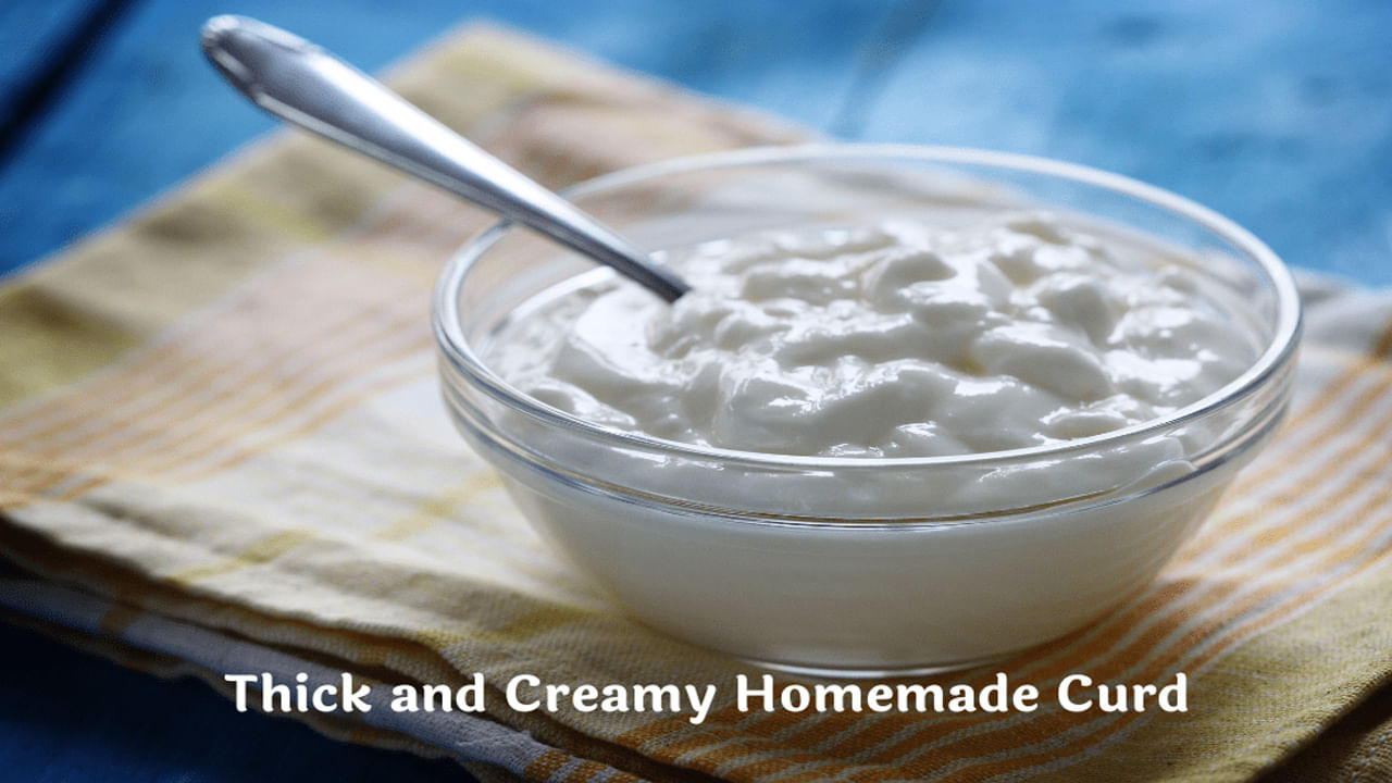 ఆయుర్వేదం ప్రకారం పెరుగు చల్లదనం కలిగి ఉంటుంది. కాబట్టి దీనిని ఎల్లప్పుడూ మధ్యాహ్నం పూట తినడం ఉత్తమం. ఈ సమయంలో జీర్ణక్రియ బాగా జరిగి, శరీరం పెరుగులోని పోషకాలను సులభంగా గ్రహిస్తుంది.