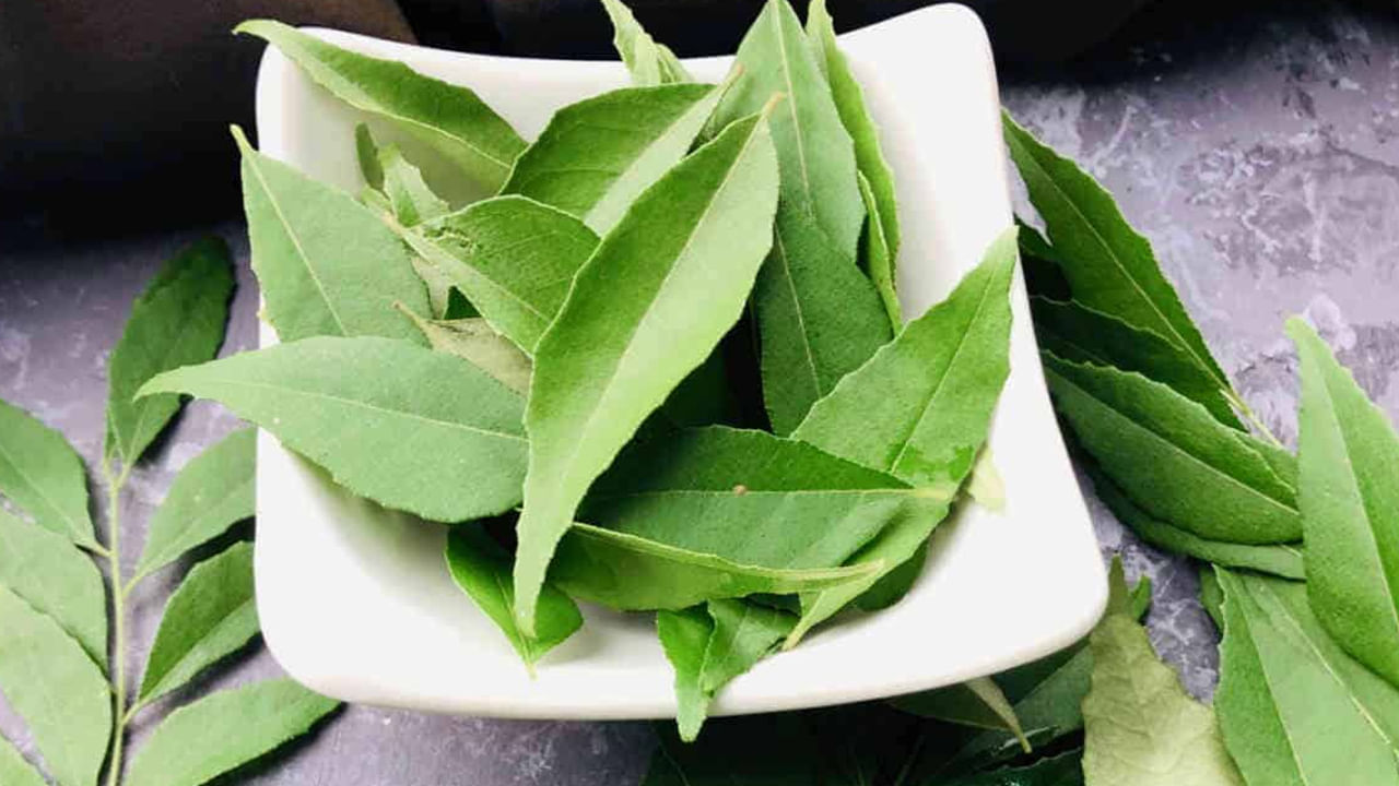Curry Leaves Cup