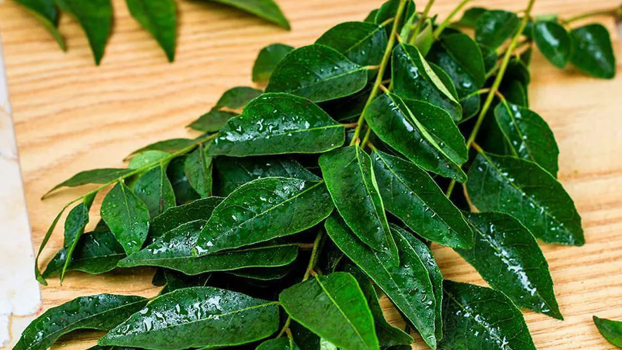 Curry Leaves On Table